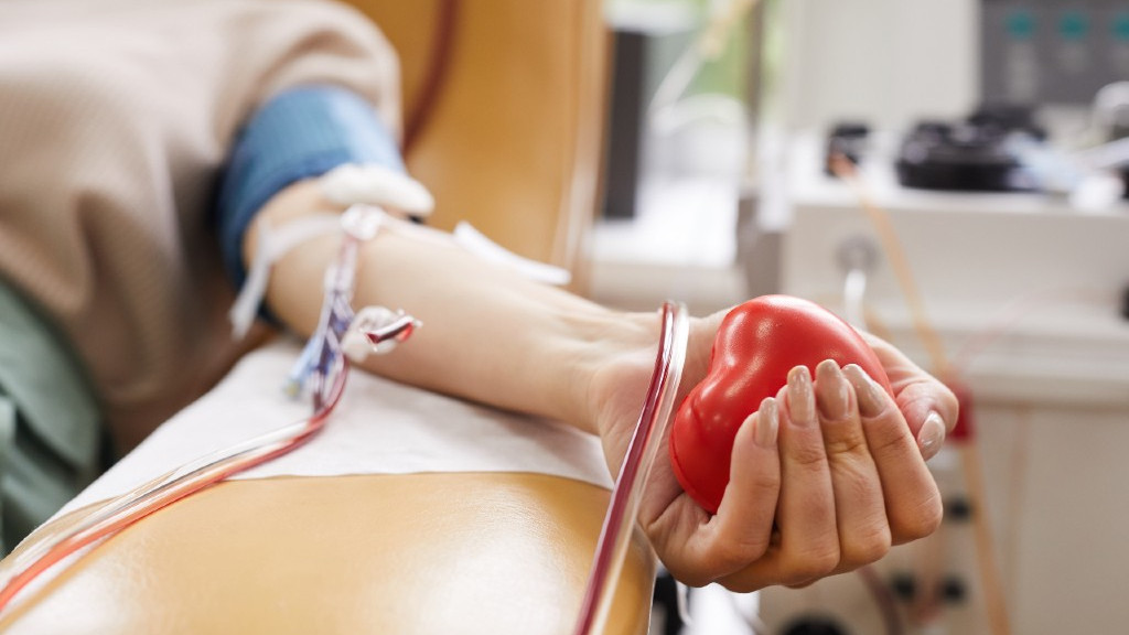 Tudo sobre doação de sangue: perguntas e respostas